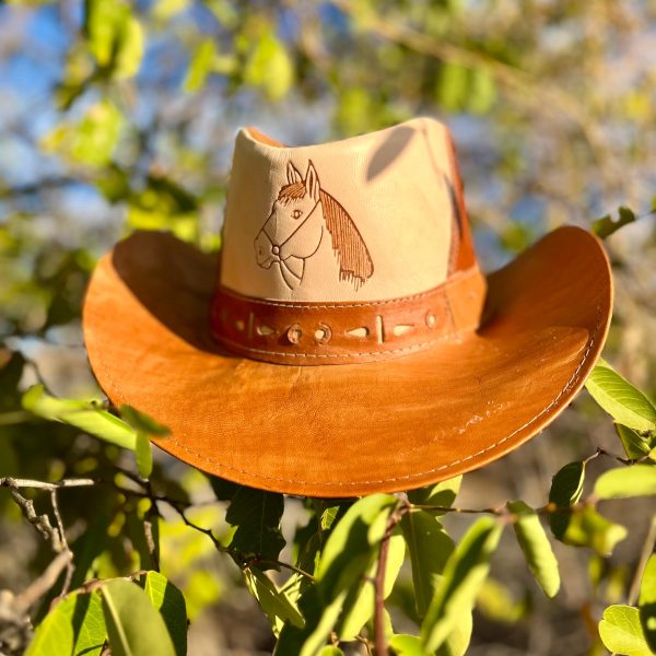 Cowboy de couro